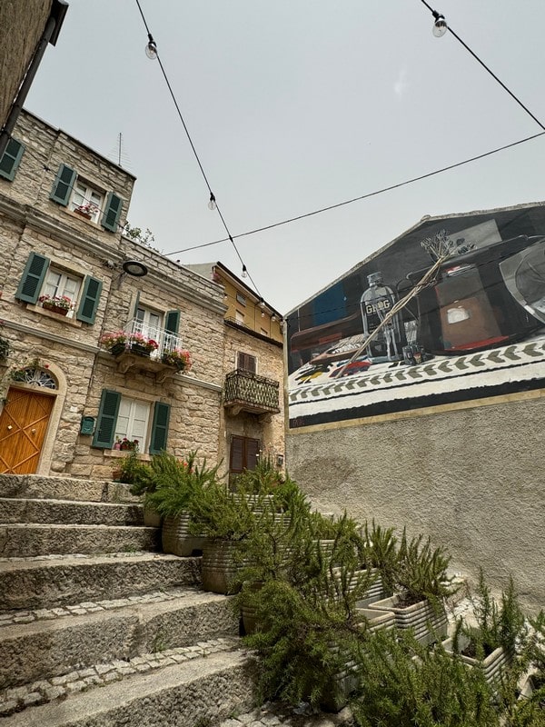 Catalina Serra_13-min