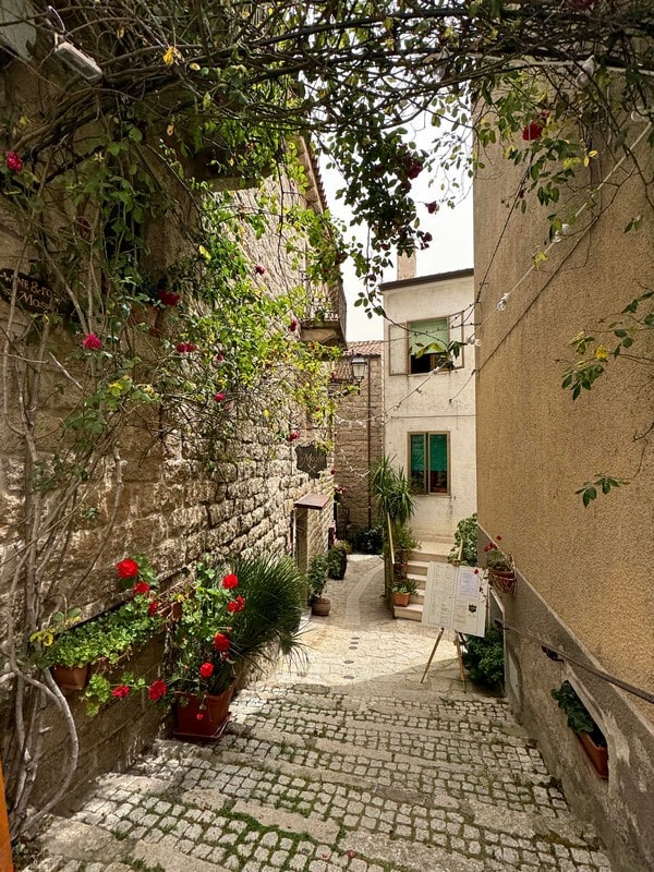 Catalina Serra_14-min