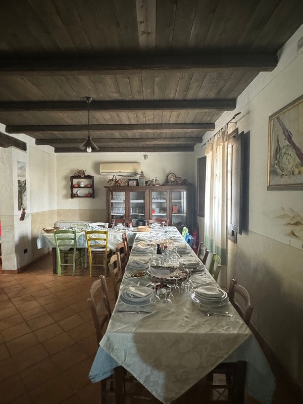 Catalina Serra_6-min