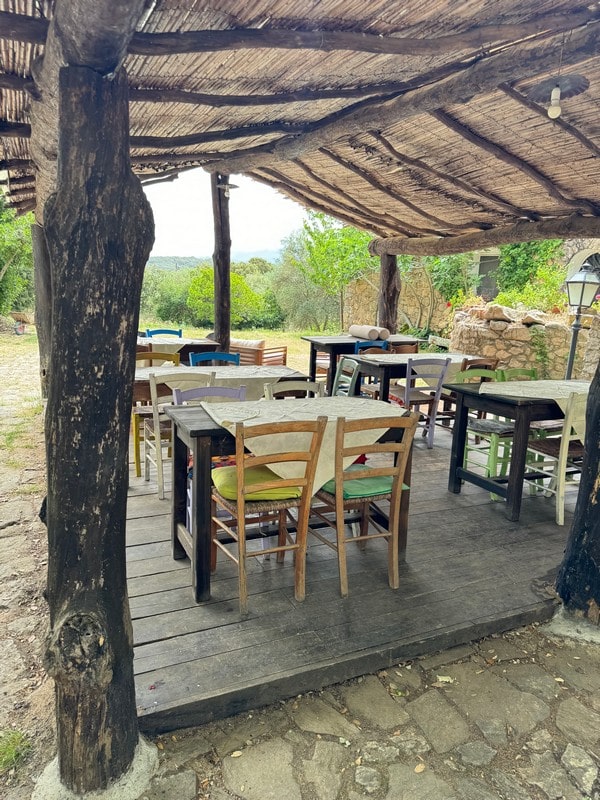 Catalina Serra_8-min